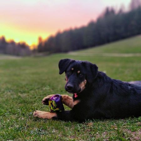 Eha Farmstay Rõuge Dış mekan fotoğraf