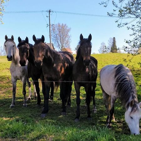 Eha Farmstay Rõuge Dış mekan fotoğraf